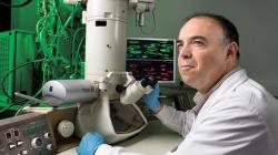 Tel Aviv University, Israel, develops genome editing system to destroy cancer cells