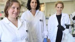 New Israeli tech could use light to control drugs (Photo: Tel Aviv University)